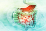 Best Gastroenterology  hospital in raipur