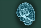 Best Neurosurgery hospital in raipur