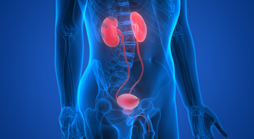 Best Urology hospital in raipur