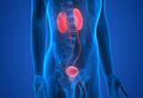 Best Urology hospital in raipur