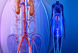 Best Urology hospital in raipur
