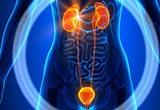 Best Urology hospital in raipur