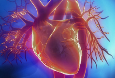 Best cardiology hospital in raipur